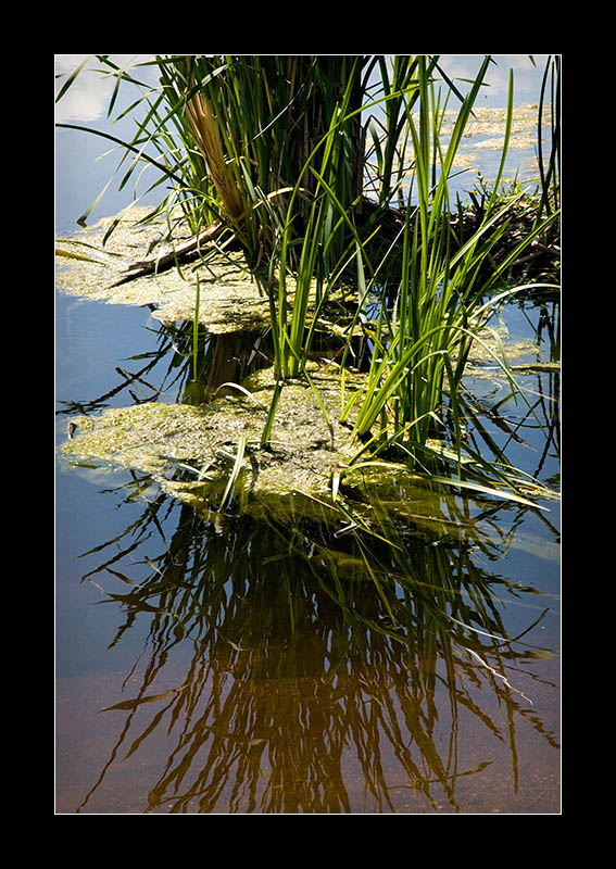Slow creep of pollution.....