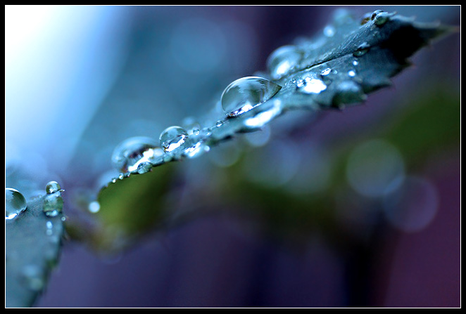 blue rain