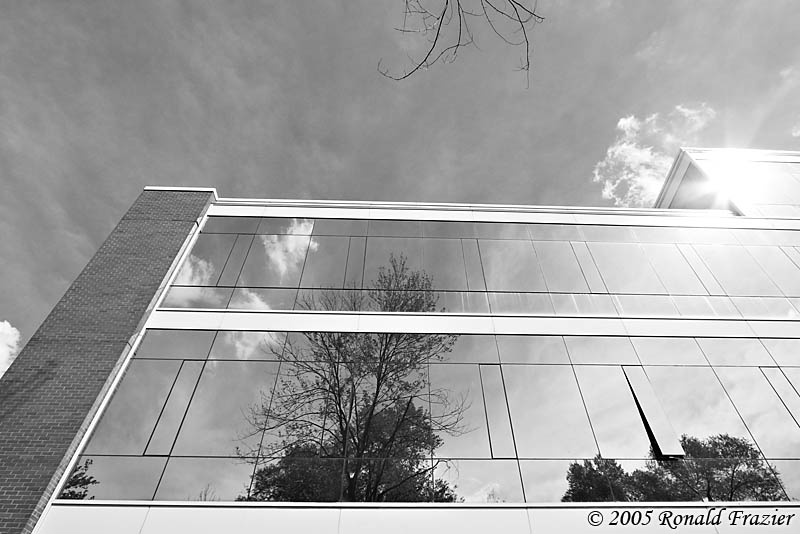 Reflected Design