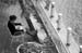 CRW_8506.jpg
