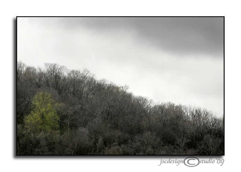 Sign of the Season<br>March 27