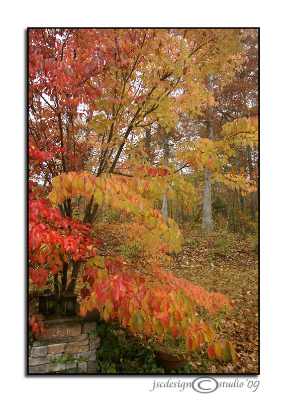 Rainy Fall Day<br>October 28