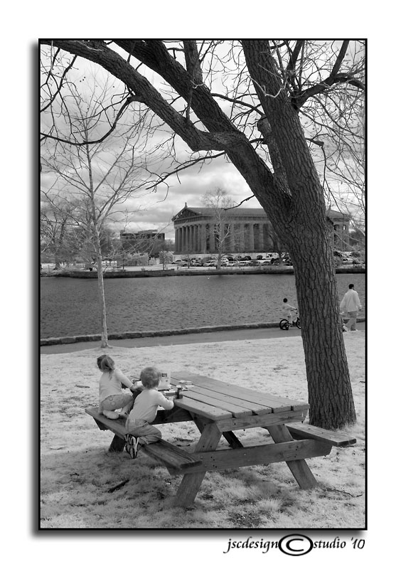 Picnic Distraction