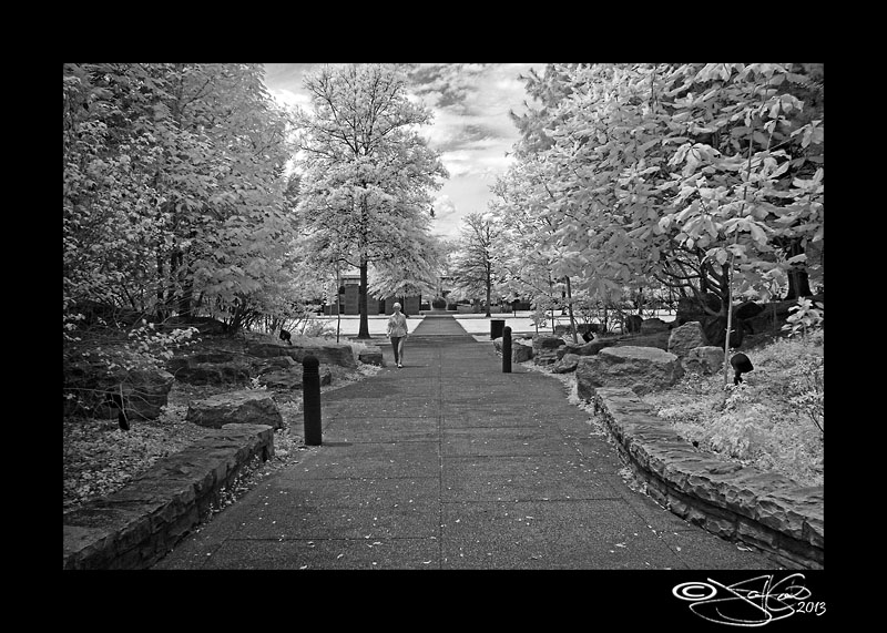 IR Nashville IV