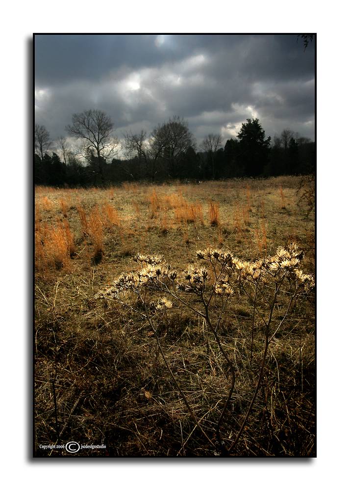 Chasing Light <p>February 12