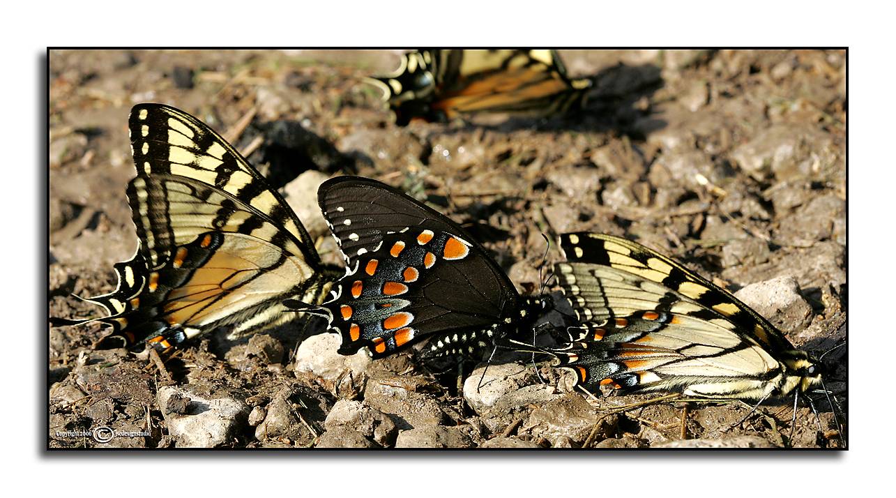 Holding Pattern