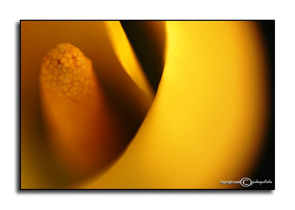 Challenge: <i>Favorite Color</i><br>Warm Colors<br>June1