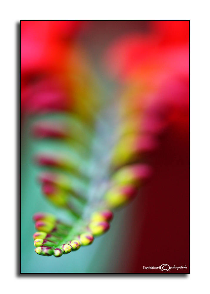 Spinal