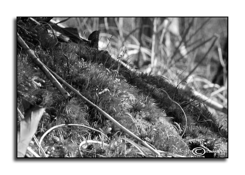 Macro World<p>January 1