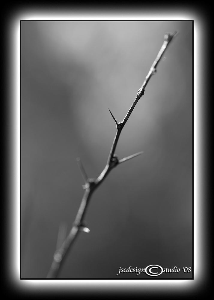 Light Box XXIX<p>January 12