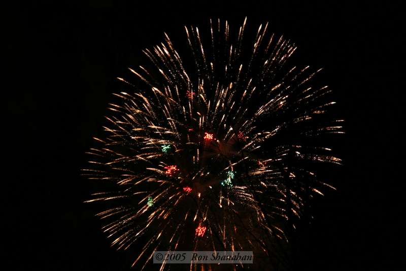 IMG_2906_20D.jpg