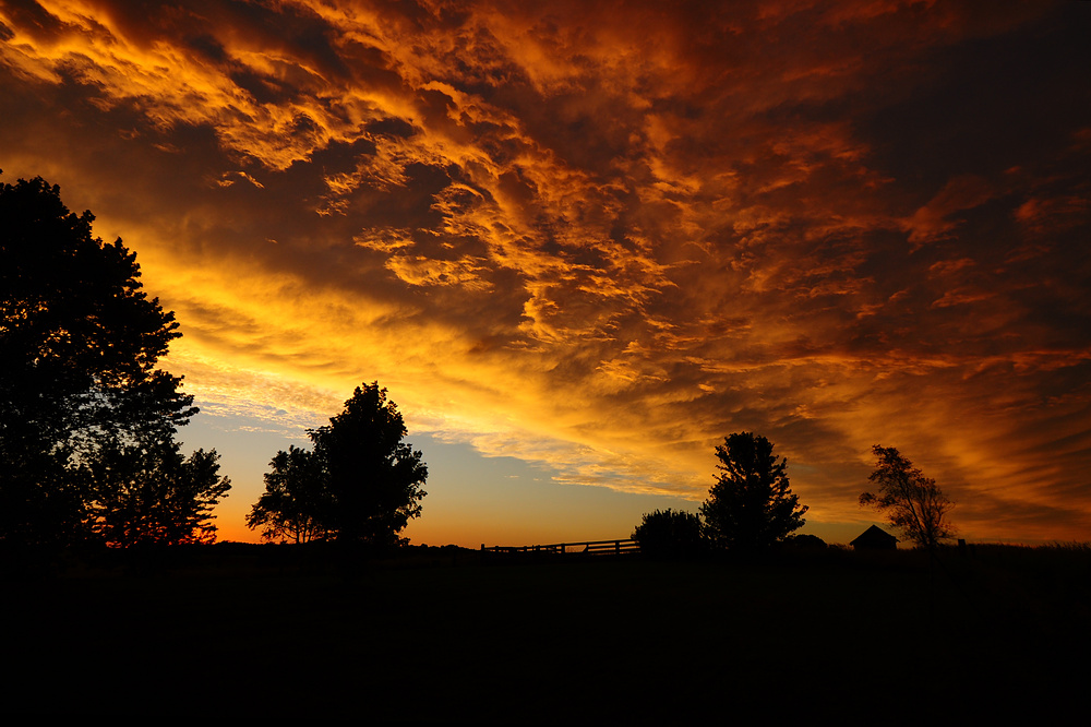 Sky Filler Sunset