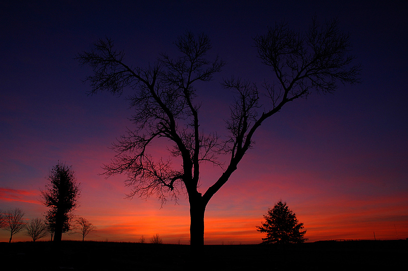 Christmas Sunrise (December 23)