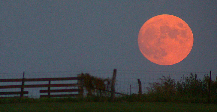 Harvest Moon (Cropped)
