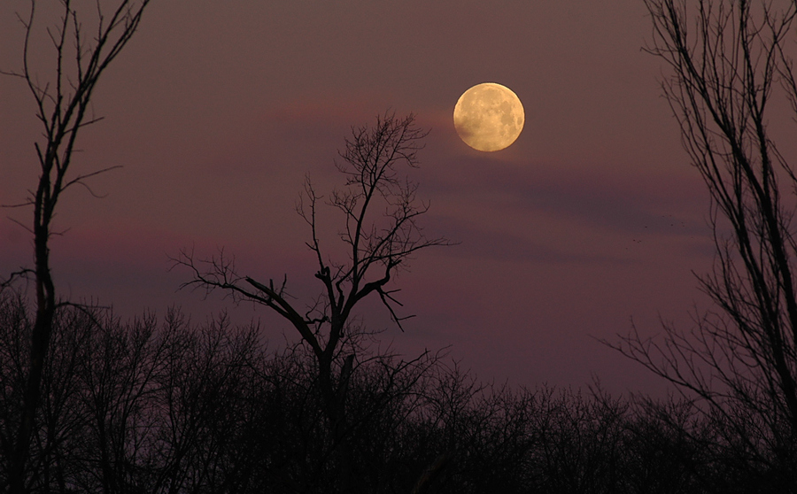 Snow Moon