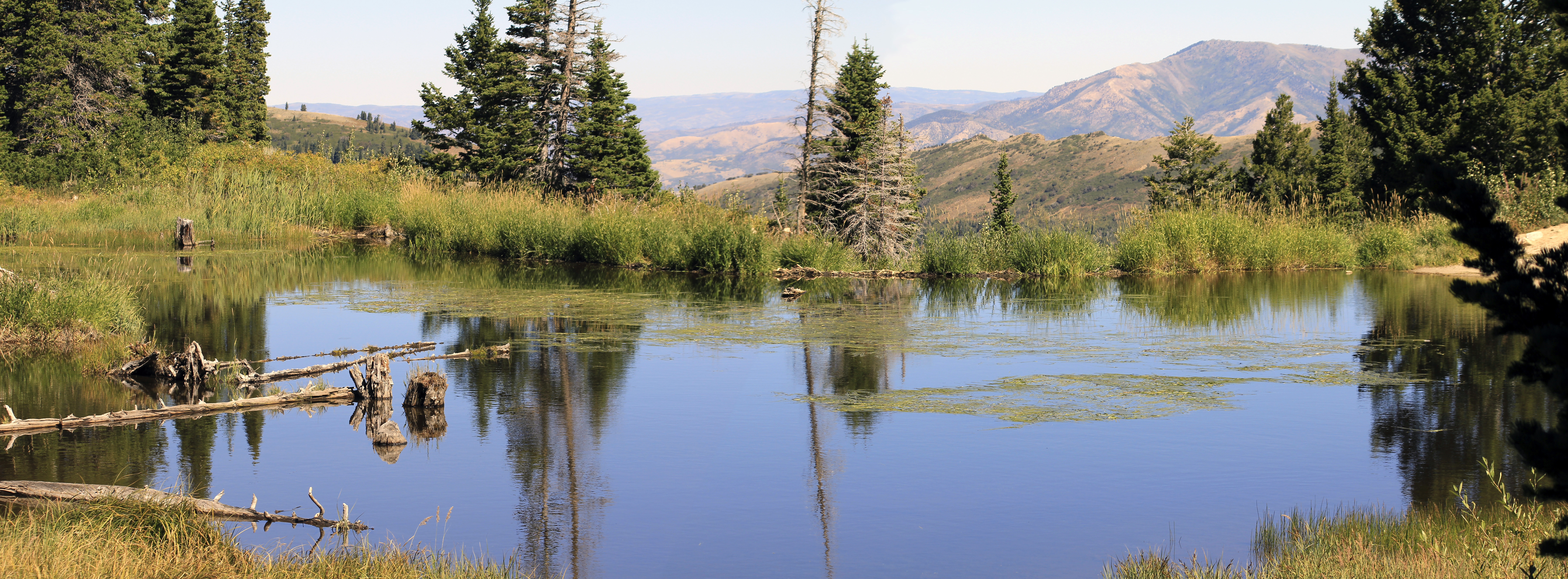 A simple photo merge of a high altitude beaver pond