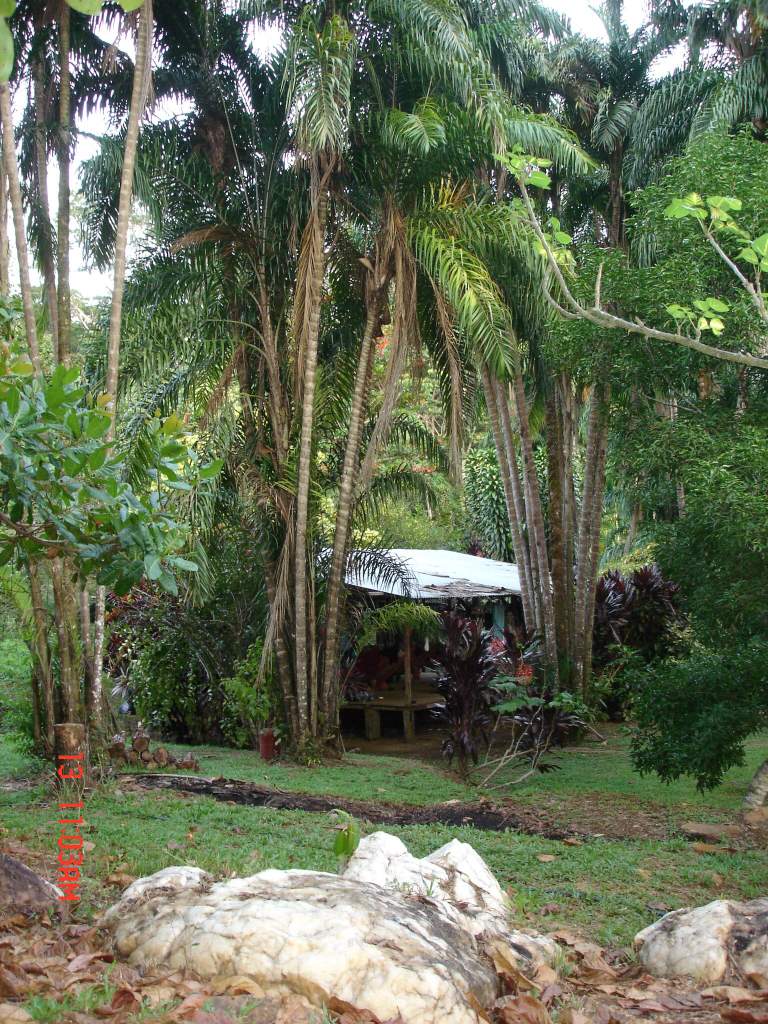  La Guyane