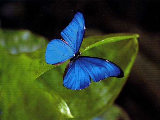  La Guyane