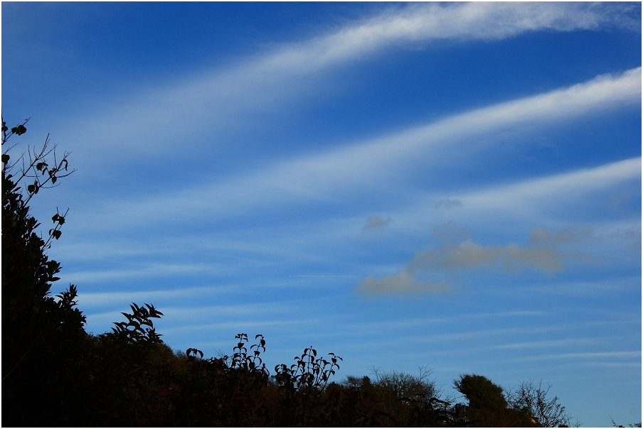 Altocumulus undulatus - 7 November 2010
