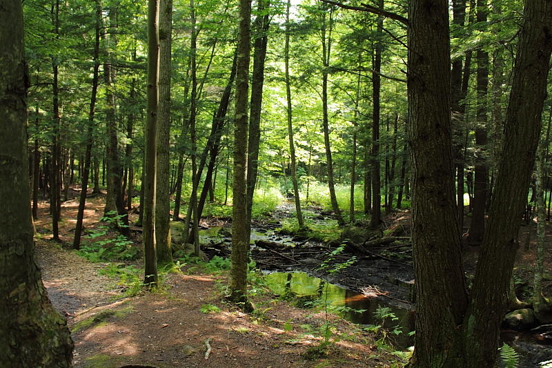 Shefford, Qc