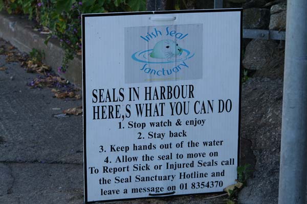 Beware - Seals !!