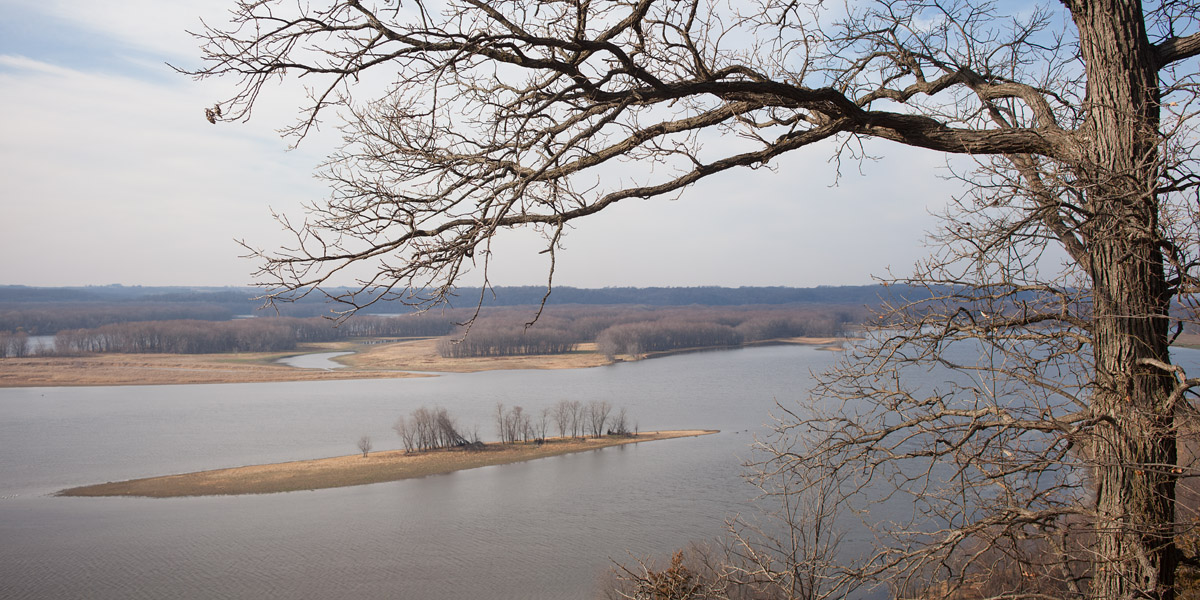 Mississippi River Island 