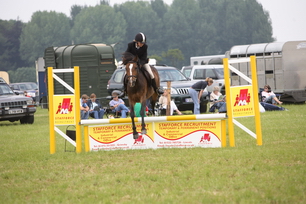 Brocklesby Park Country Fair   25/06/06