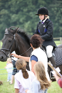 Brocklesby Park Country Fair   25/06/06
