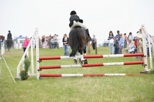 Brocklesby Park Country Fair   25/06/06