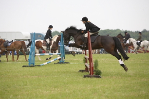 Brocklesby Park Country Fair   25/06/06