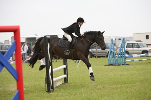 Brocklesby Park Country Fair   25/06/06