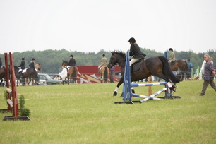 Brocklesby Park Country Fair   25/06/06