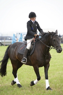 Brocklesby Park Country Fair   25/06/06