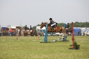 o4/96/328196/1/62522870.SOtdg7N1.IMG_8603_resize.JPG