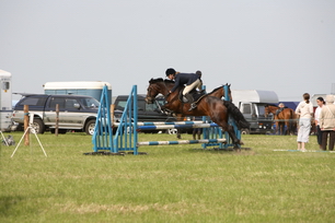 o4/96/328196/1/62522893.SXDqtN9K.IMG_8621_resize.JPG