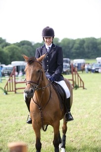 Brocklesby Park Country Fair   25/06/06