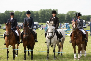 Brocklesby Park Country Fair   25/06/06
