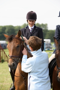Brocklesby Park Country Fair   25/06/06