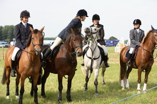 Brocklesby Park Country Fair   25/06/06