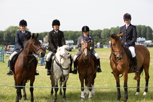 Brocklesby Park Country Fair   25/06/06