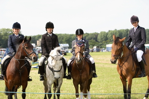 Brocklesby Park Country Fair   25/06/06