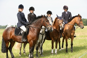 Brocklesby Park Country Fair   25/06/06