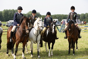 Brocklesby Park Country Fair   25/06/06
