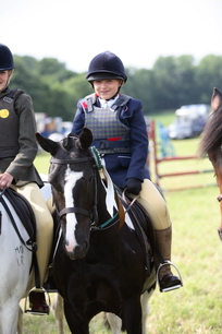 Brocklesby Park Country Fair   25/06/06