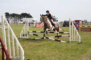 Brocklesby Park Country Fair   25/06/06