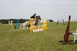 Brocklesby Park Country Fair   25/06/06
