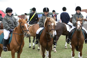 IMG_8310_resize.JPG