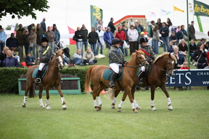 IMG_8336_resize.JPG