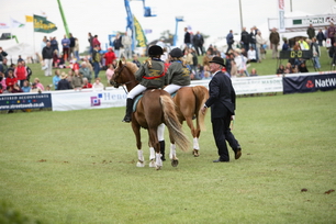 IMG_8349_resize.JPG