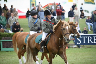 IMG_8364_resize.JPG